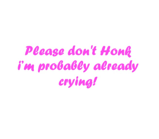 please dont honk type 2 decal