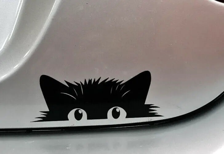 Cat peeking type2 decal
